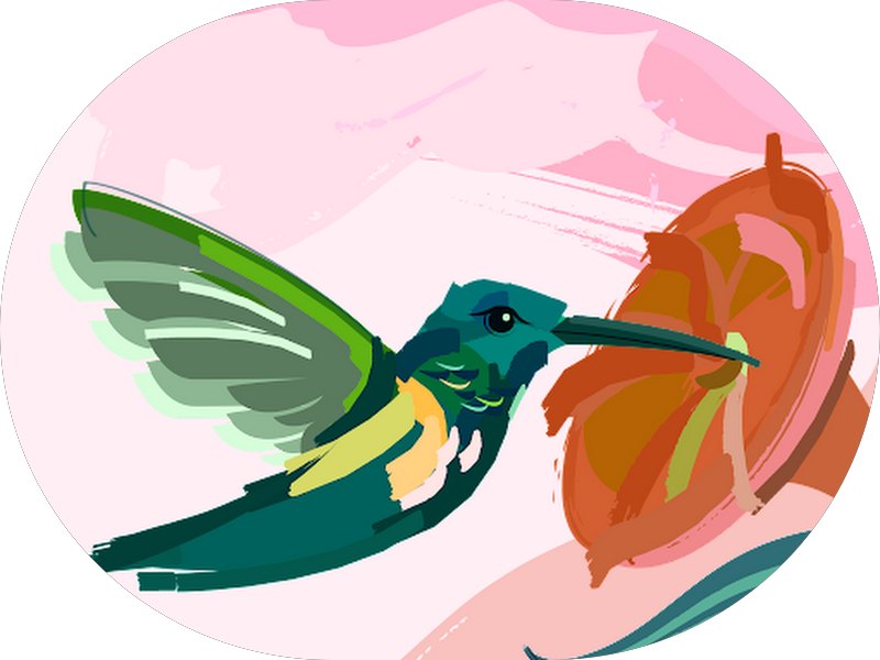 Foto 2 de Dra. Nathalia Sgrott I Brusque I Dentista I Clareamento I Facetas I Siso I Lentes de contato