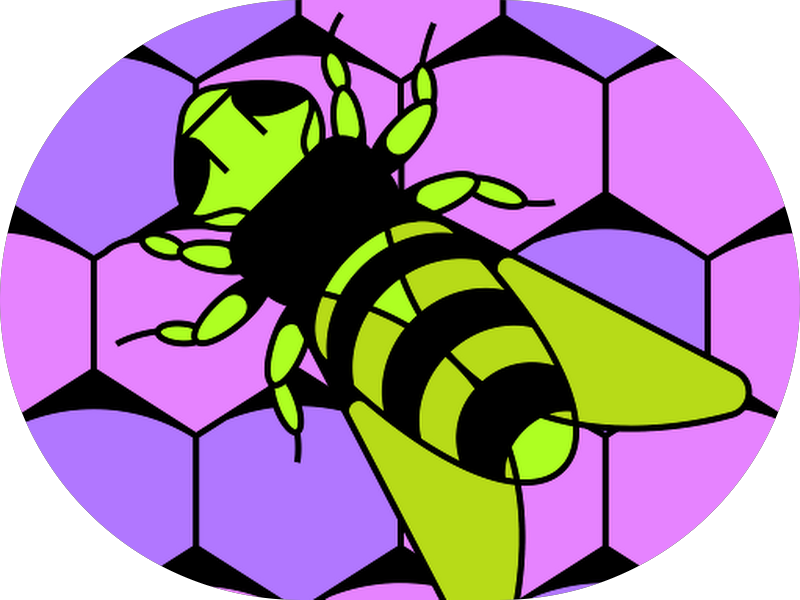 Foto 6 de Dra. Nitelly Siqueira | Harmonização Orofacial em Fortaleza