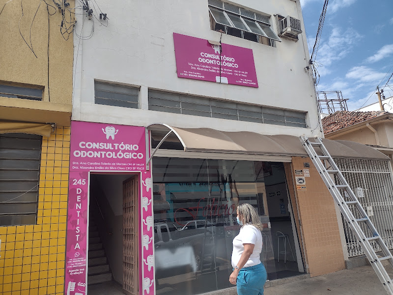 Foto 2 de Dra Nizandra Emília da Silva Claro