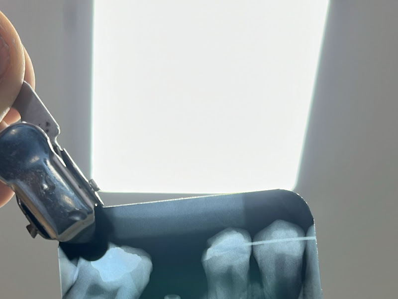 Foto de Dra Paloma Anjos - DENTISTA