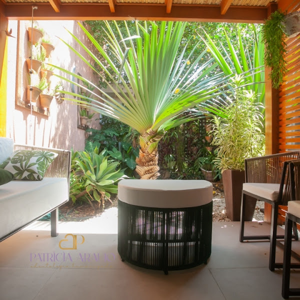 Foto 2 de Dra Patrìcìa Araujo