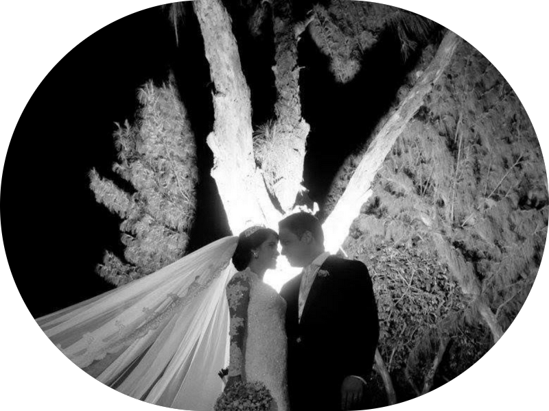 Foto 5 de Dra. Patrícia Dantas