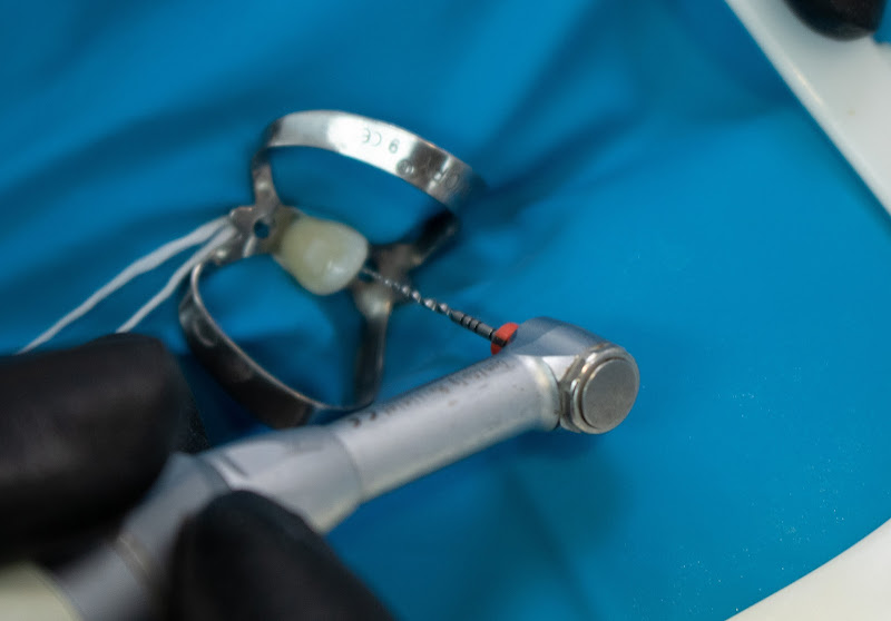 Foto 2 de Dra Patricia Sabadin / Domus odontologia