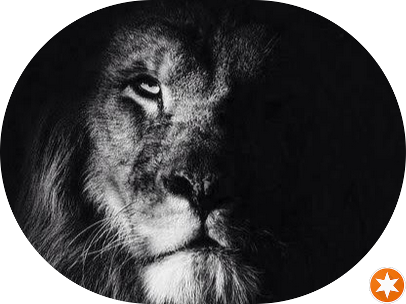 Foto 2 de DRA. Patrícia Stahl Marzarotto