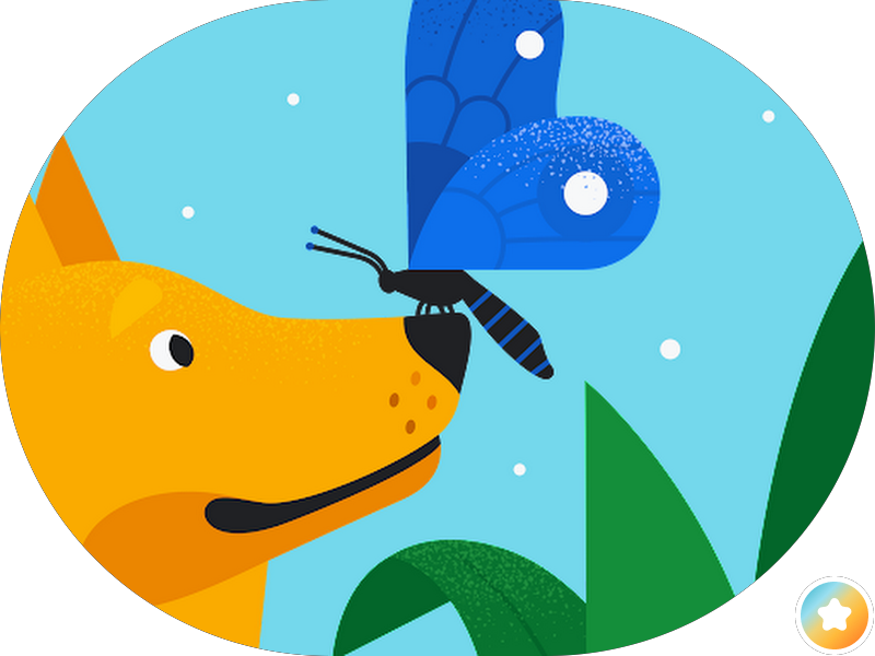 Foto 3 de Dra Paula Gonzalez