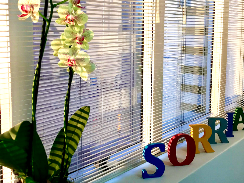 Foto 7 de Dra. Paula Gregolin, Dentista