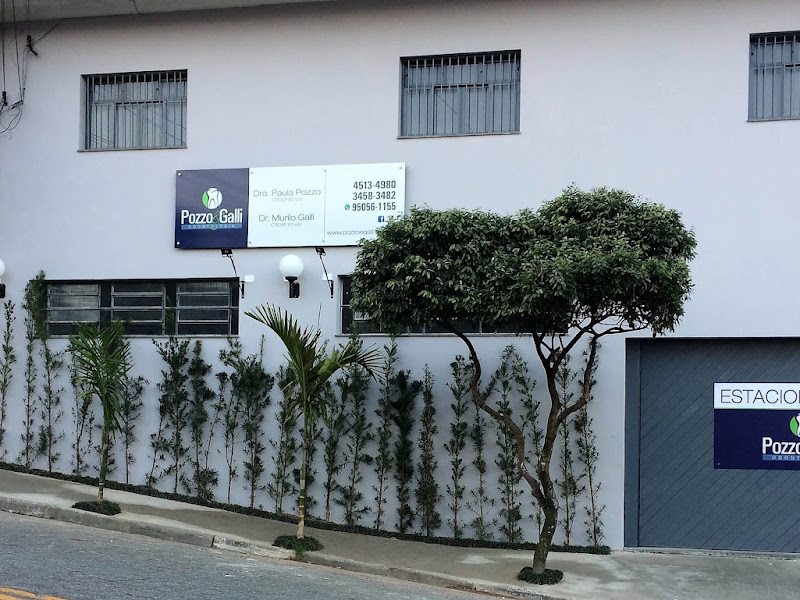 Foto de Dra. Paula H. Pozzo e Dr. Murilo C. Galli