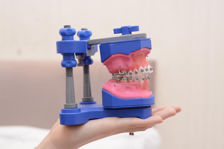 Foto 3 de Dra Paula Paiva | Dentista | Ortodontia