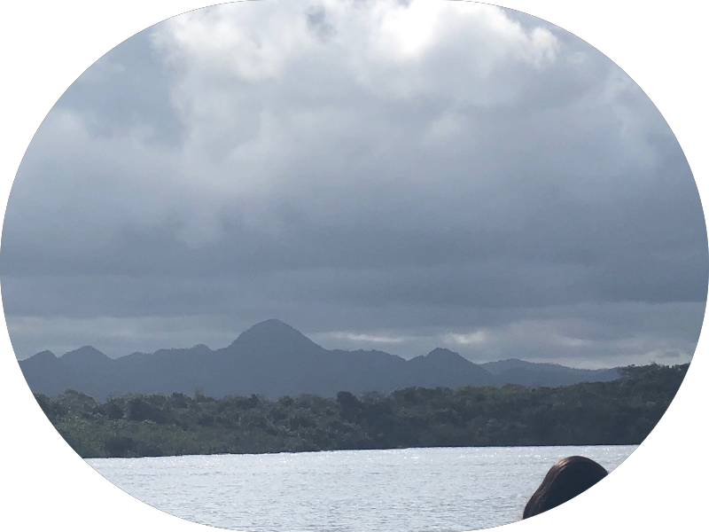 Foto 2 de Dra. Phaloma S Pereira