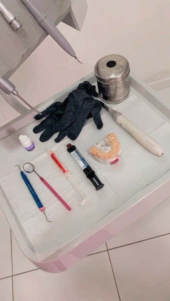 Foto 3 de Dra. Priscila Tavares de Aquino