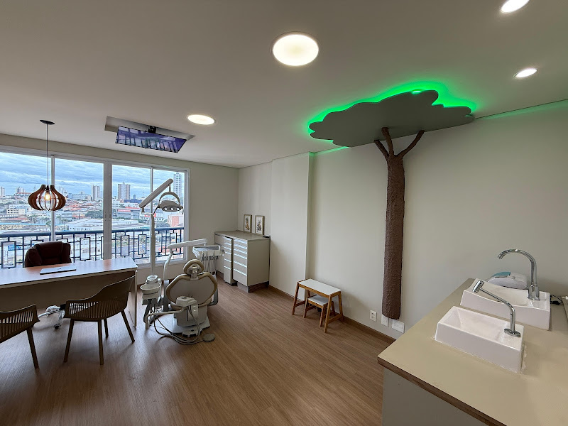 Foto 5 de Dra. Rafaela Carrijo de Morais