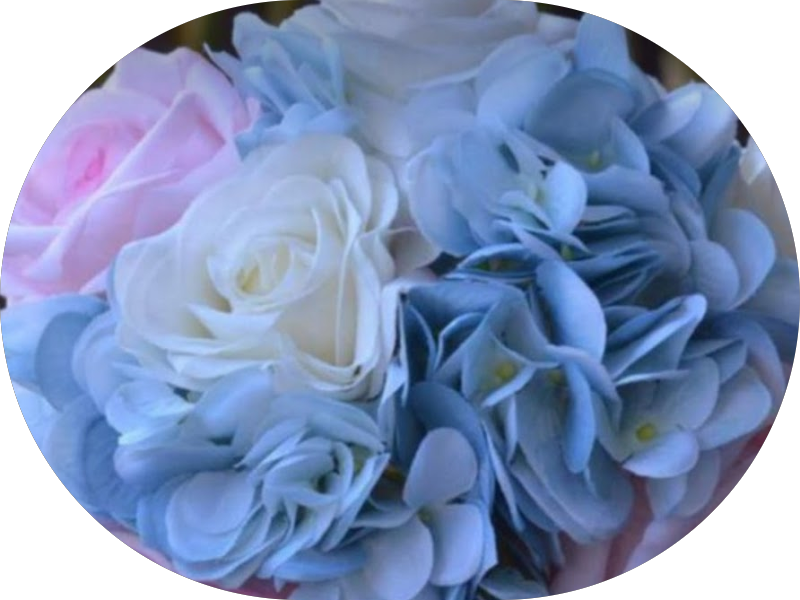 Foto 6 de Dra. Rafaela Melo - Harmonização Orofacial