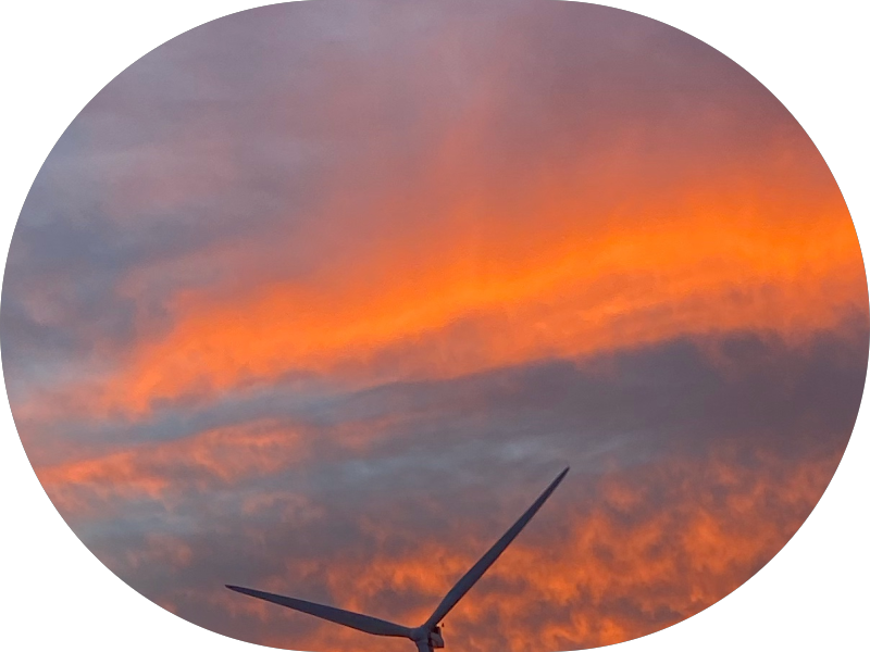 Foto 4 de Dra Raquel Ponce