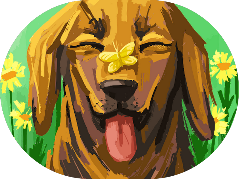 Foto 5 de Dra Referencia Clinica Odontologica