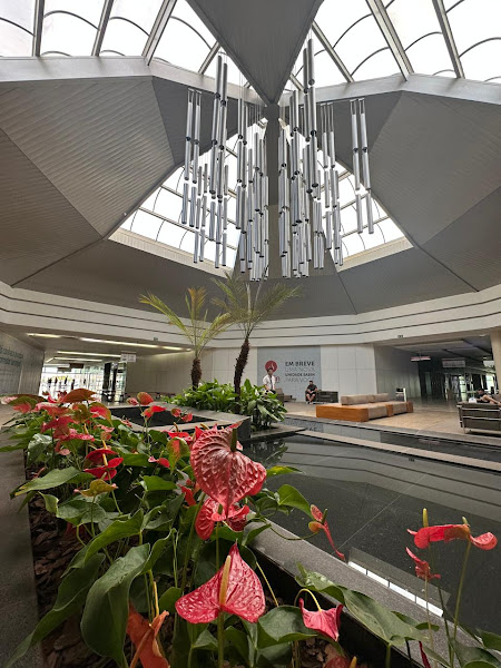 Foto 2 de Dra. Renata Freire Silva