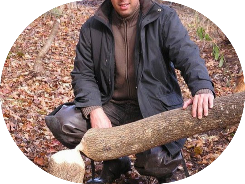 Foto 6 de Dra.Renata Madeira - Invisalign e Odontologia estética