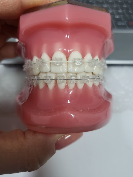 Foto 3 de Dra.Renata Marie Sato