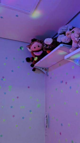 Foto 3 de Dra. Roberta Bertachini