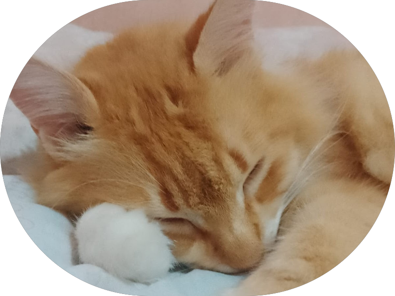 Foto 2 de Dra. Roberta Lêda. Dentista