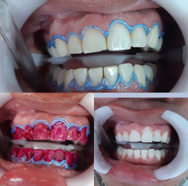 Foto 2 de Dra Rosângela