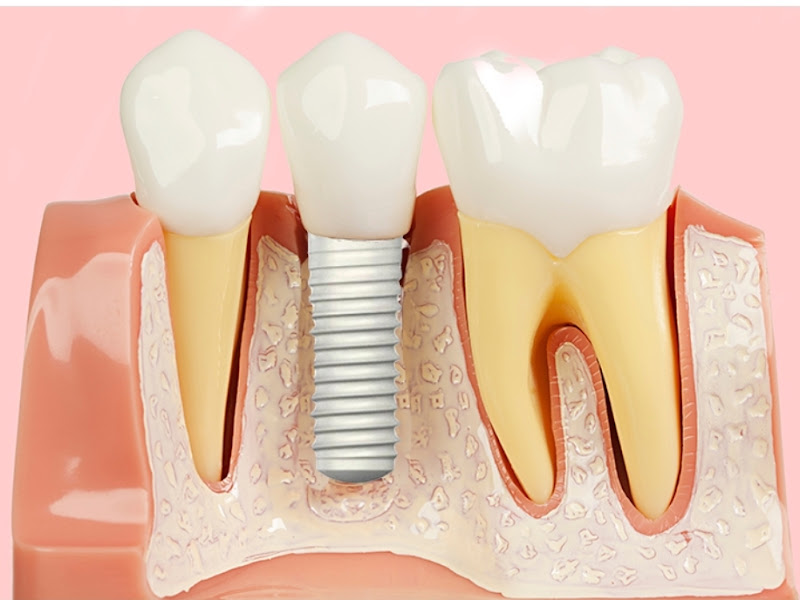 Foto 7 de Dra Sandra Veiga