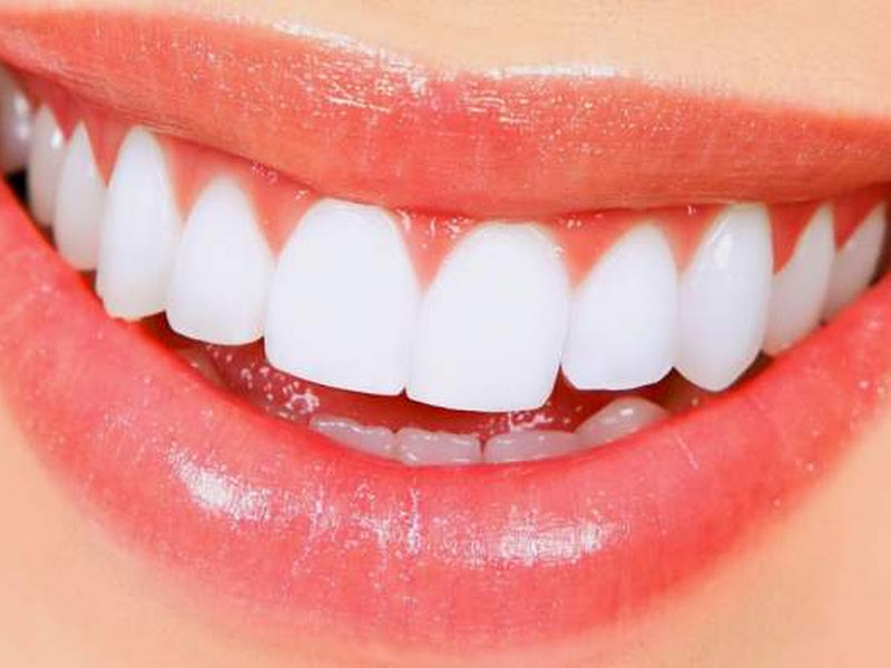 Foto 3 de Dra. Selma Fernandes Sant Anna - Odontologia