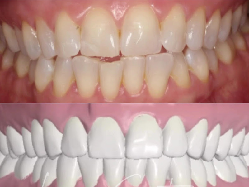 Foto 8 de Dra. Shasta Viana