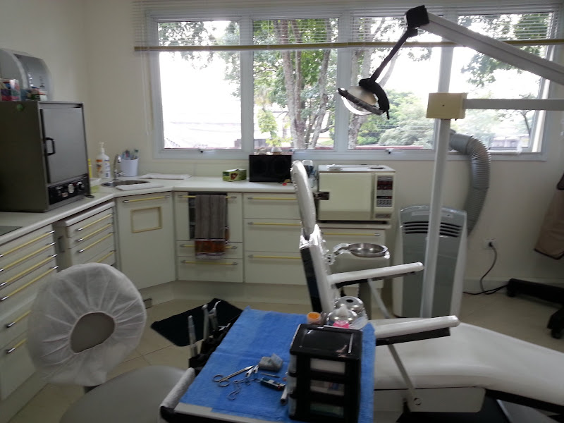 Foto 2 de Dra.Sibelle Bittencourt de Souza - Dentista