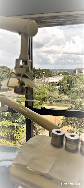 Foto 3 de Dra.Silvana Goulart- Odontologia e Acupuntura