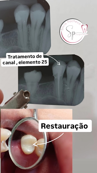 Foto 4 de Dra. Silvia Pacheco.