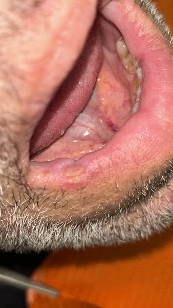 Foto 3 de Dra. Silvia Regina Gaspar de Castro e Dra.Ana Carolina Novo de Castro