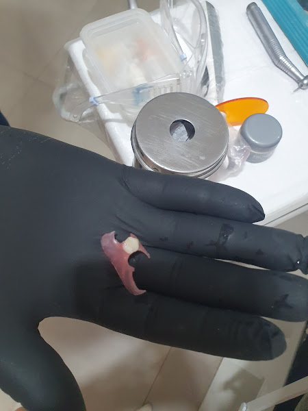 Foto 3 de Dra Simone Ribeiro _Consultório Odontológico