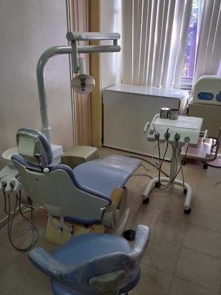 Foto 2 de Dra. Sirlei Maggioni, Dentista