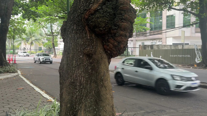 Foto 3 de Dra. Skarleth Kunzler - Odontologia e Harmonização Orofacial