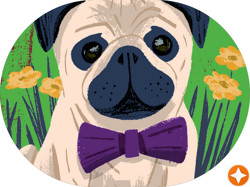 Dra. Sônia Dentista