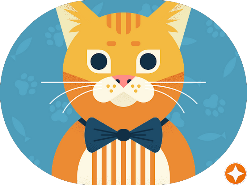 Foto 6 de Dra. Stella Manzzato Ortodontista Campinas