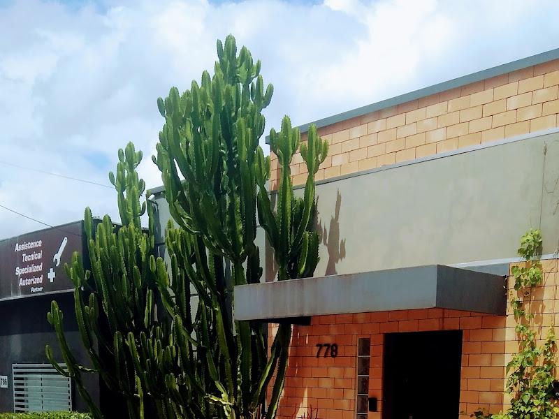 Foto 9 de Dra. Stella Manzzato Ortodontista Campinas