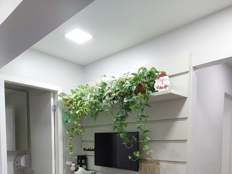 Foto 11 de Dra Stephanie Yone - Dentista | Bruxismo | Tratamento de canal | Alinhadores Invisíveis | Recreio dos Bandeirantes