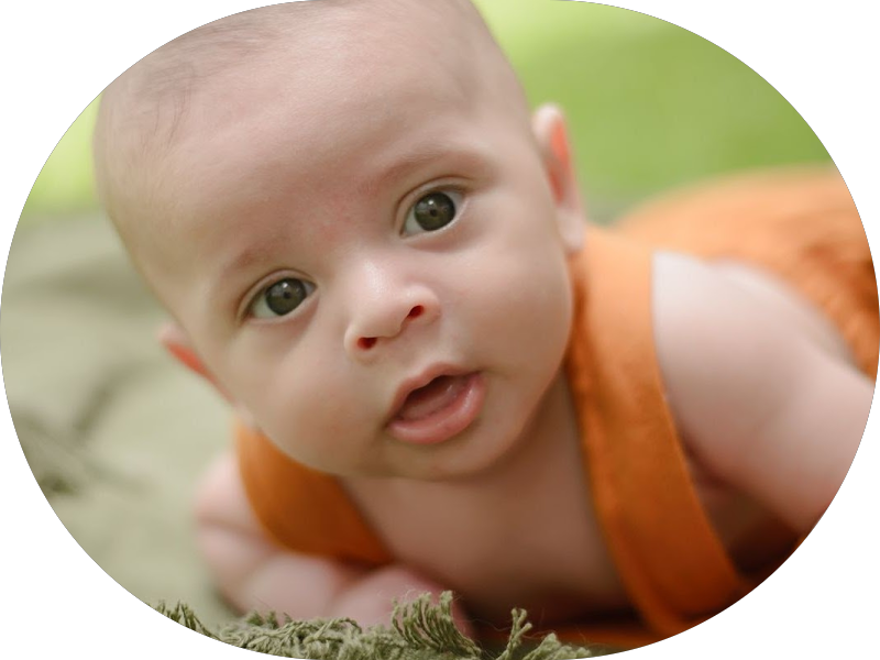 Foto 5 de Dra Suzana Loyola Odontologia Especializada