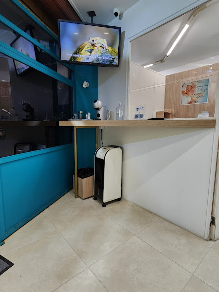 Foto 3 de Dra. Sylvia Discini