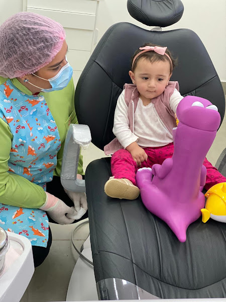 Foto 2 de Dra Tainá Braga `A Casa da Fada do Dente`