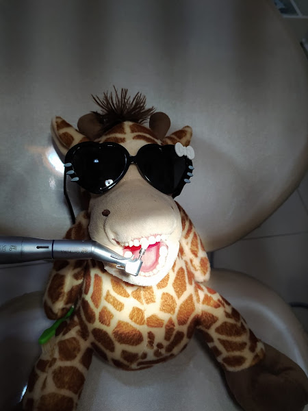 Foto 3 de Dra. Tais Guimarães - Odontopediatra