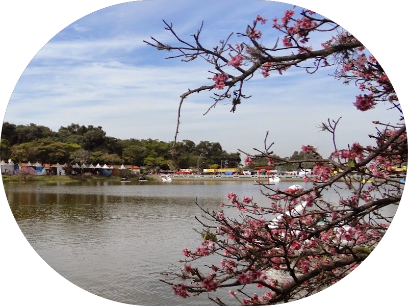 Foto 3 de Dra Tamires Garcia| Dentista em Marília| Aparelho dental