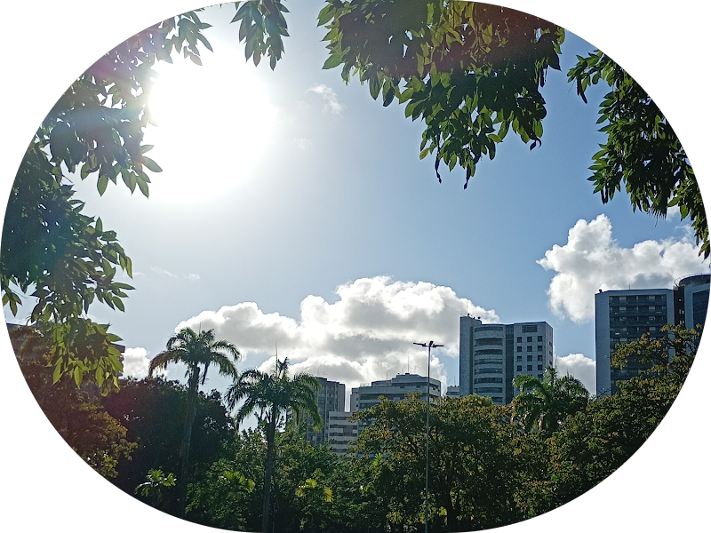 Foto 5 de Dra. Tayná Catanho