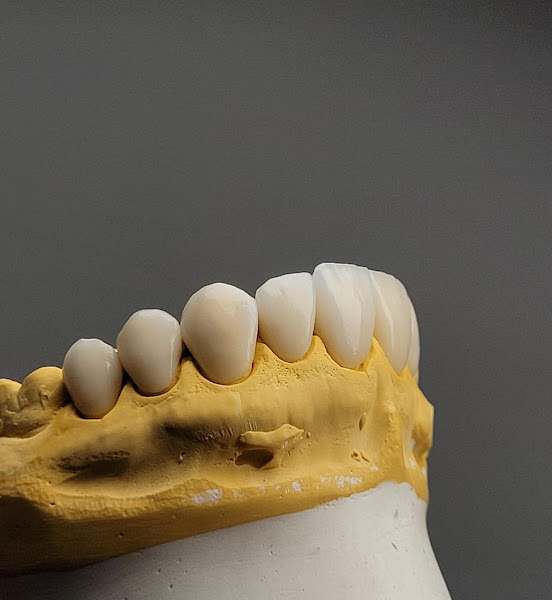 Foto 3 de Dra. Thais Ferreira