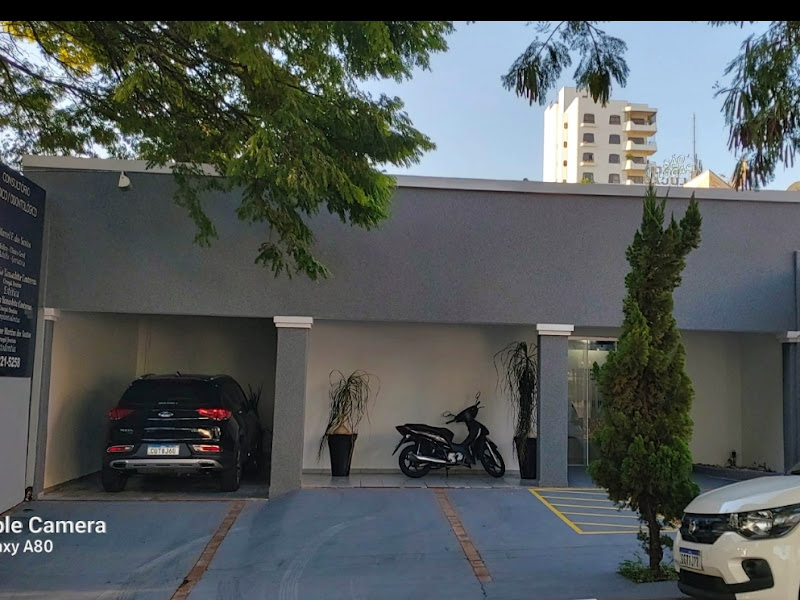 Foto 3 de Dra. Thais Naufal S. Lemos