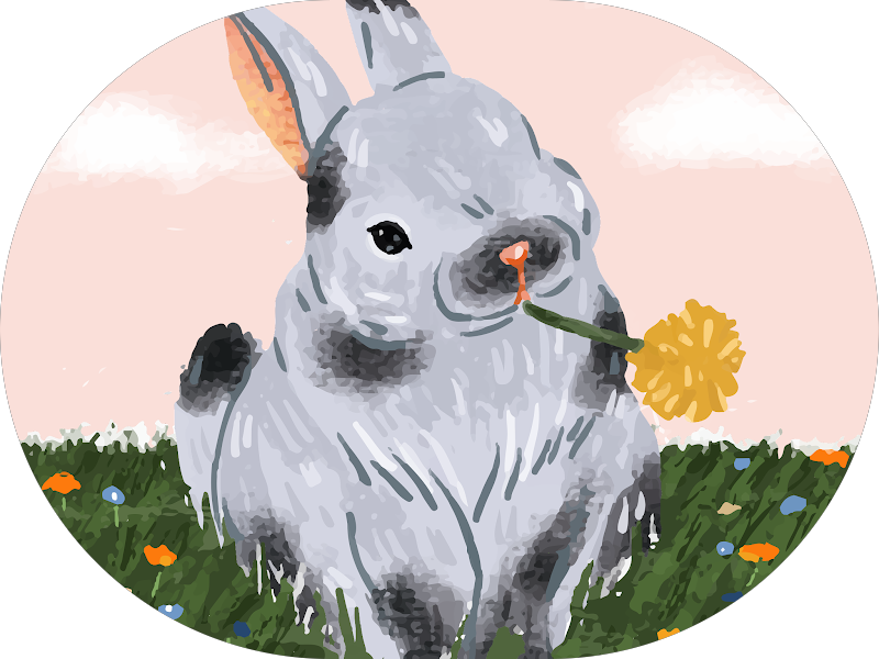 Foto 6 de Dra Thaís Pereira - Dentista em Taubaté