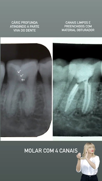 Foto 3 de Dra. Thaís Vieira