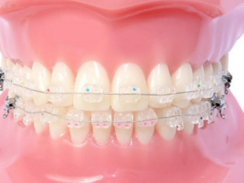 Foto 9 de Dra. Trycia Magalhães