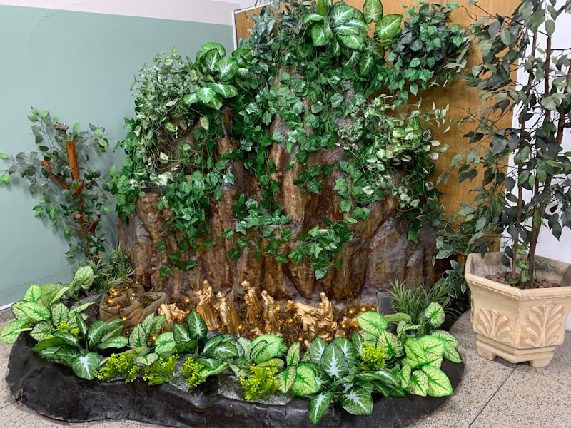 Foto 3 de Dra Valéria Gondim